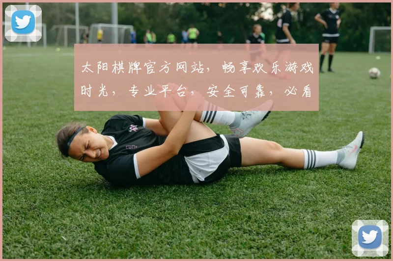 太阳棋牌官方网站，畅享欢乐游戏时光，专业平台，安全可靠，必看攻略