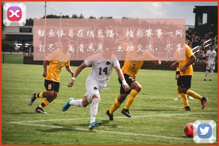 鲸鱼体育在线直播，精彩赛事一网打尽，高清画质，互动交流，尽享观赛乐趣，不容错过