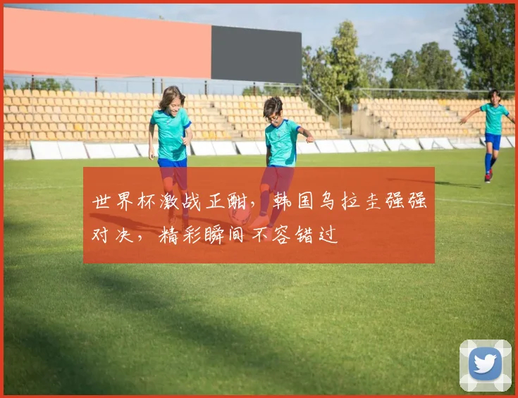 世界杯激战正酣，韩国乌拉圭强强对决，精彩瞬间不容错过