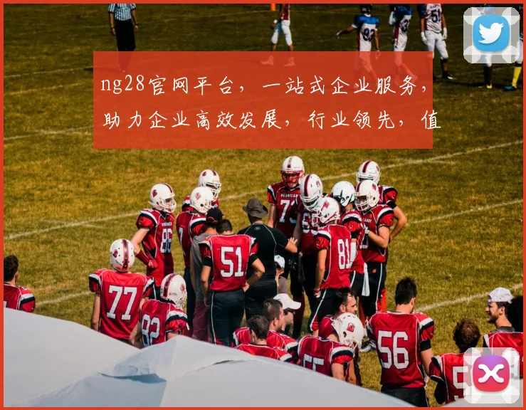 ng28官网平台，一站式企业服务，助力企业高效发展，行业领先，值得信赖