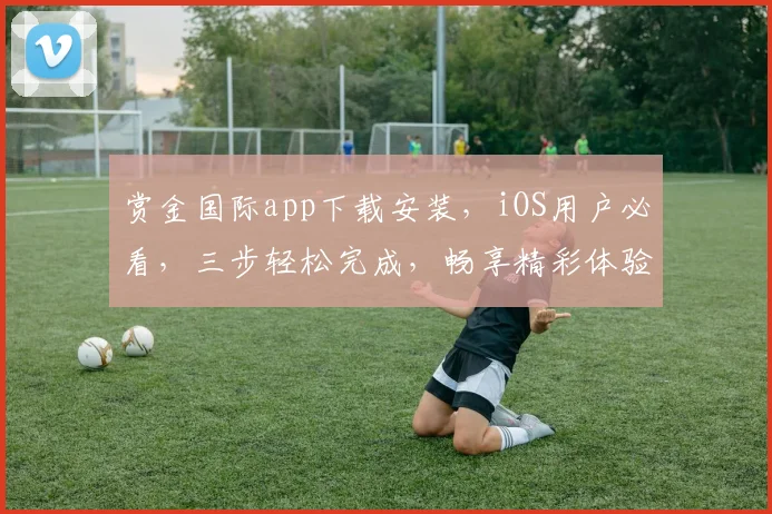 赏金国际app下载安装，iOS用户必看，三步轻松完成，畅享精彩体验，不容错过
