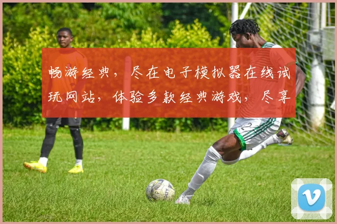 畅游经典，尽在电子模拟器在线试玩网站，体验多款经典游戏，尽享乐趣，一网打尽
